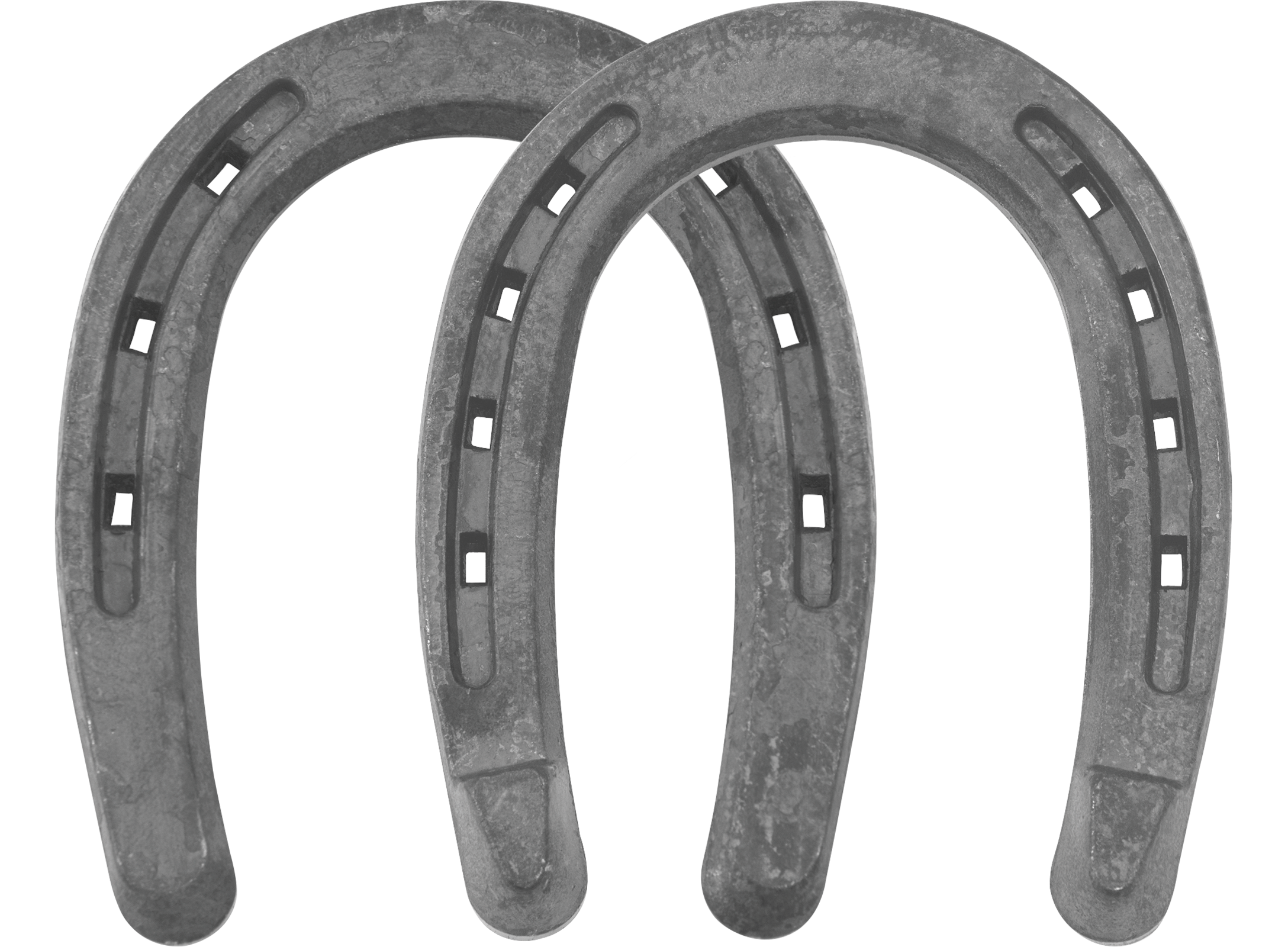 St. Croix Mule and Mule Heeled horseshoes, bottom view