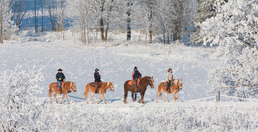 Un grupo de jinetes en la nieve