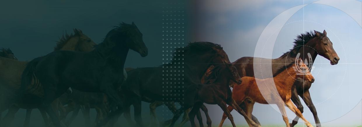 Mustad new website banner