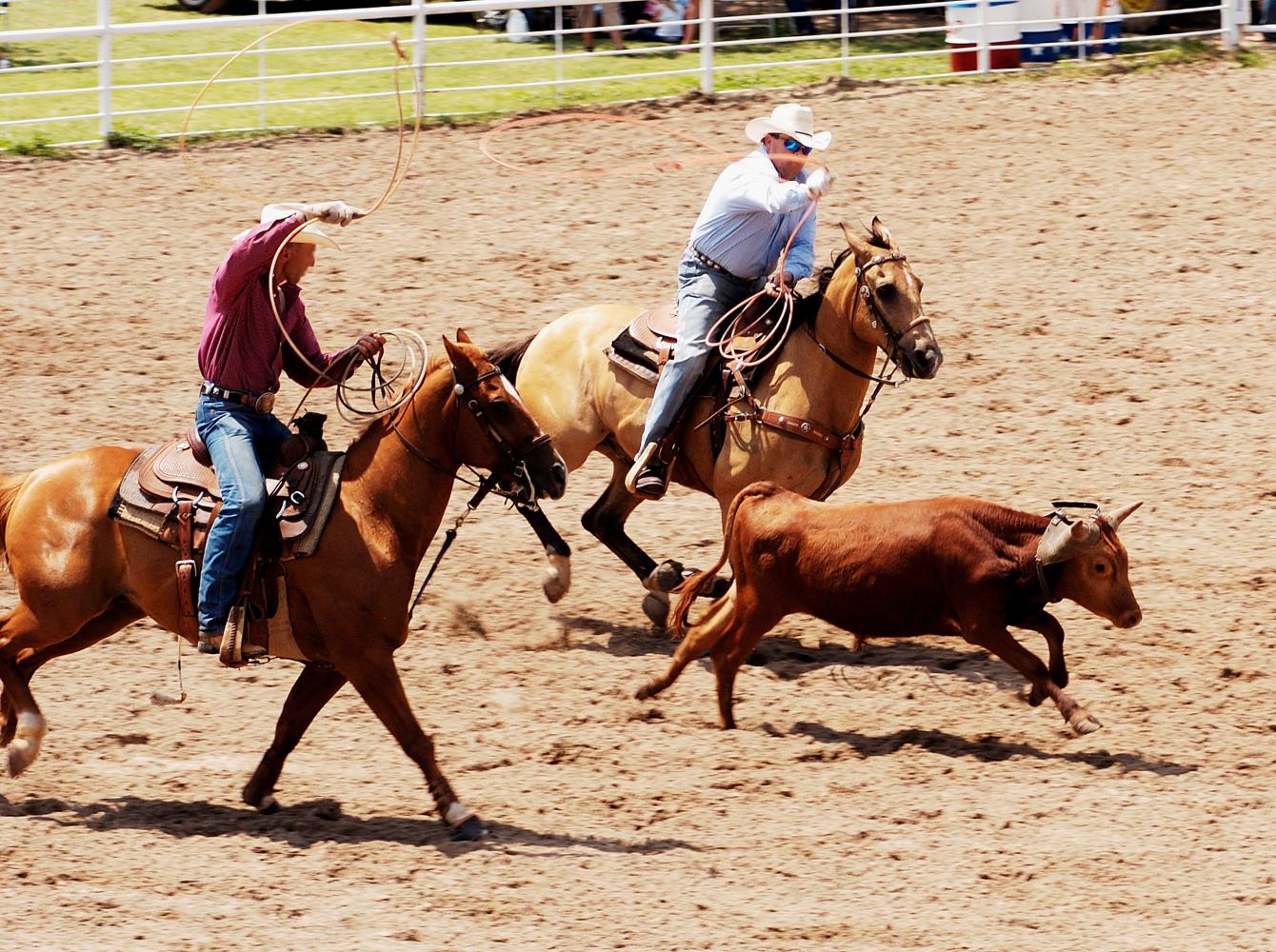 Team roping