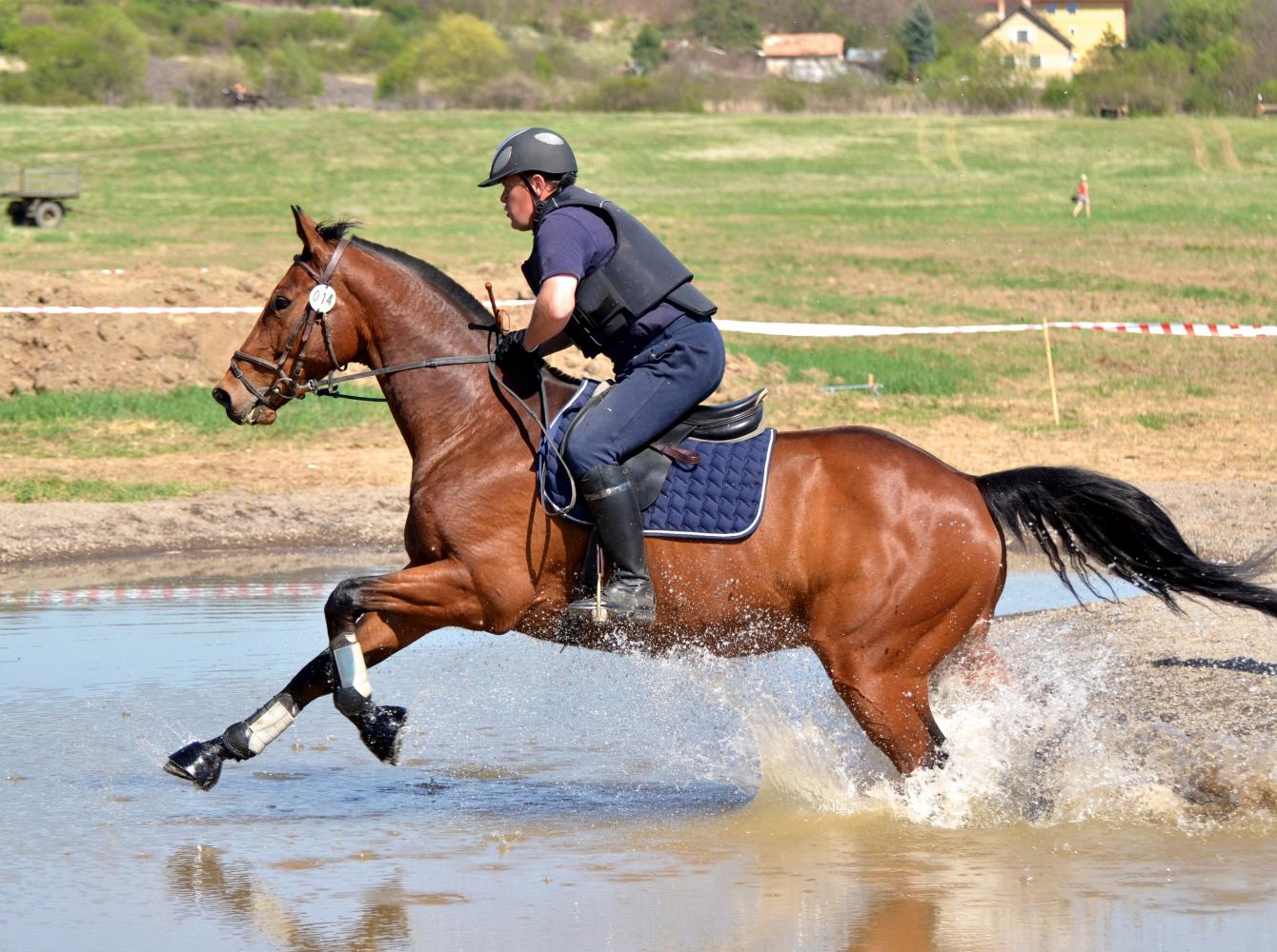 Rider and horse in the water during a Cross-country
