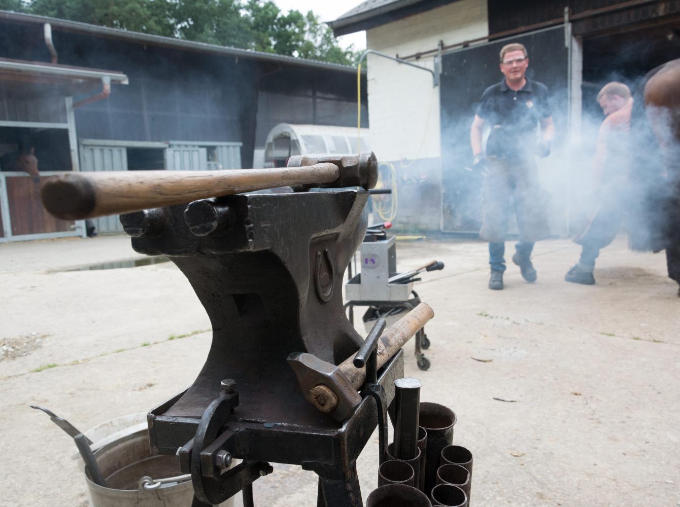 Errol Wernike's anvil and hammers