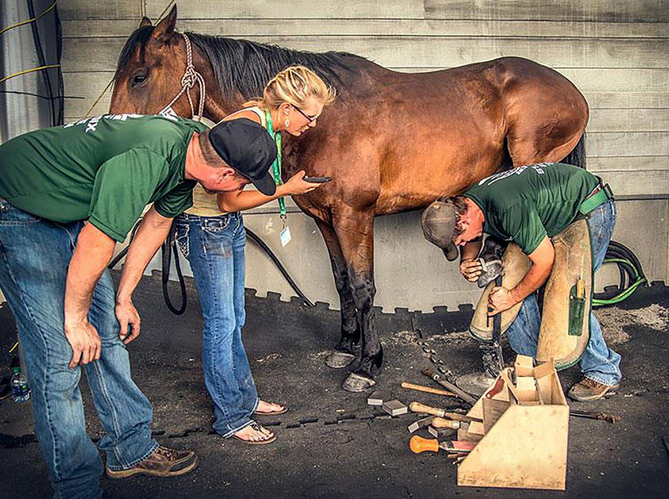 St. Croix farrier advice