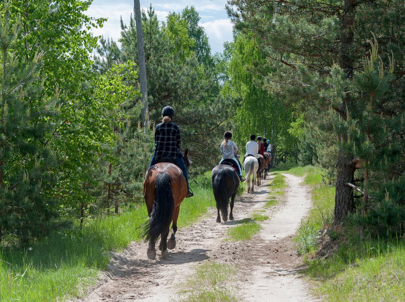 Trail riding