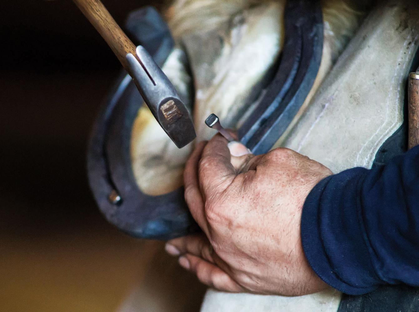 Stanley nailing a horseshoe