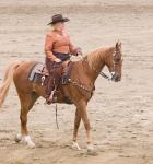 Horse and rider in a Western pleasure riding contest