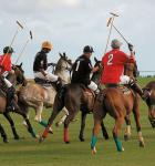 A polo contest