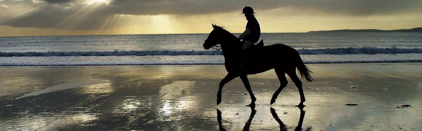 Brasil homepage image