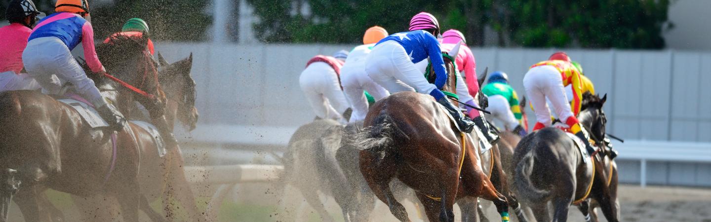  Thoroughbred Horse Race