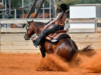 A reining contest