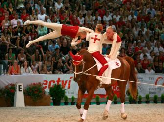 A group in a vaulting contest