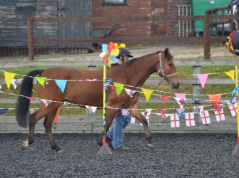 Concurso de agilidad equina