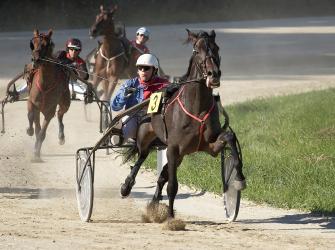 Contestants in a Harness or Trotting race