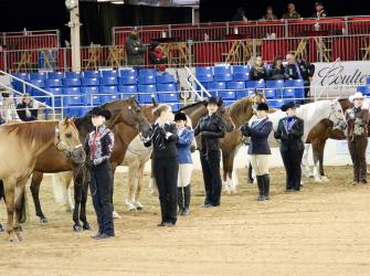 A Horse showmanship contest