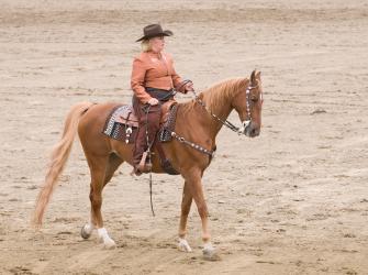 Horse and rider in a Western pleasure riding contest