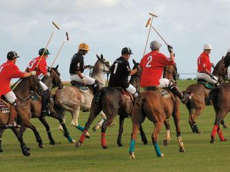 Un concurso de polo