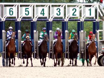 Quarter Horse Racing